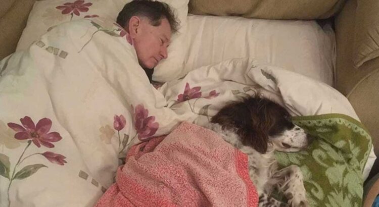 Dukra iš pradžių nesuprato, kodėl tėtis nuolat miega su šunimi ant išskleidžiamos sofos. Po kurio laiko paaiškėjo priežastis