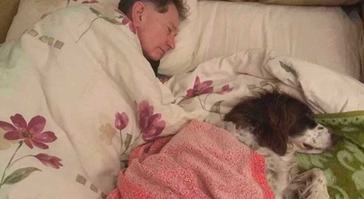 Mergina iš pradžių nesuprato, kodėl tėtis pradėjo miegoti su šunimi ant išskleidžiamos sofos svetainėje. Tačiau greitai ji sužinojo už širdies griebiančią tiesą